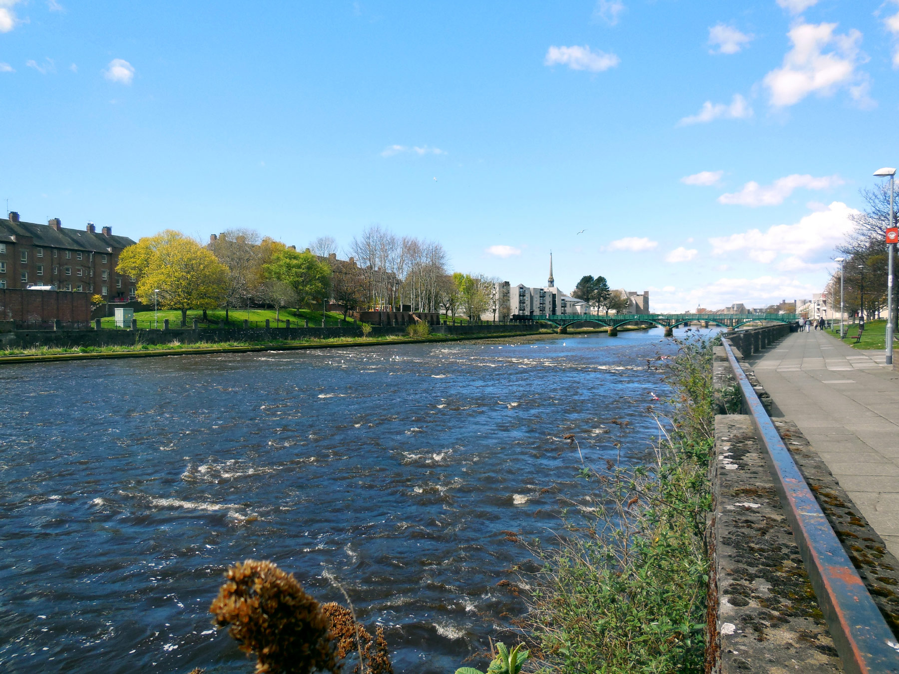 Ayr